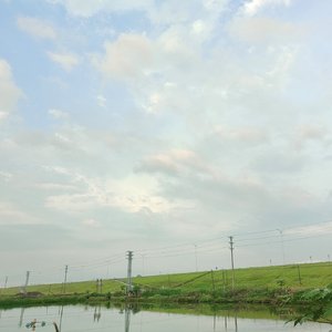 懒懒的舒服