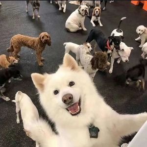 Frends 挚友(prod. youngkyle）