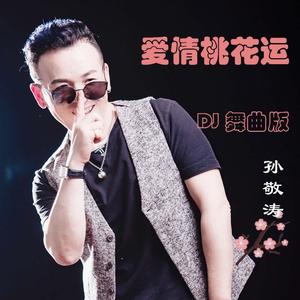 爱情桃花运（DJ舞曲版）