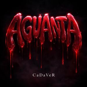 AGUANTA