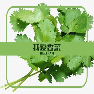 我爱香菜（prod.by Mocookie）