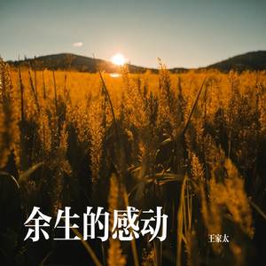 余生的感动
