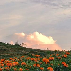 辰安 - 大城小爱