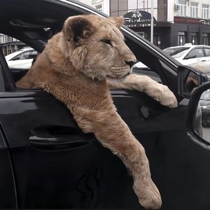 otusam（翻自 Dj-Ataman）