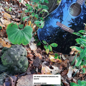 An Irish Airman Foresees His Death