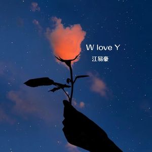 W love Y