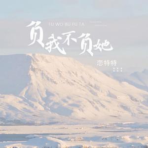 负我不负她 (DJ版)