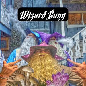 WIZARD GANG