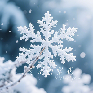 冬日的雪花