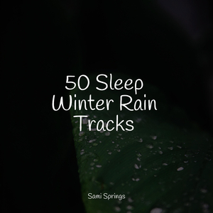 Medium Fire Crackling