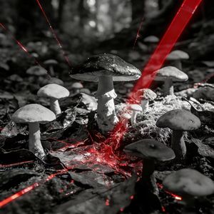 【Free】 "人在江湖" ✖ 采样 古惑仔 ✖ 卡力老虎 Type Beat