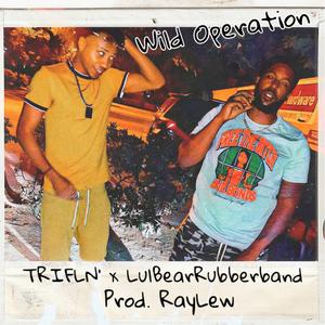 Wild Operation (feat. Lulbearrubberband)