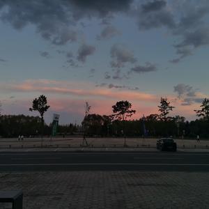 都是月亮惹的祸