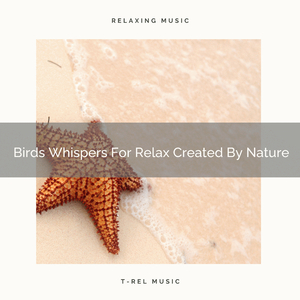 Woods Tunes For Deep Sleep Composed By Wind Blows