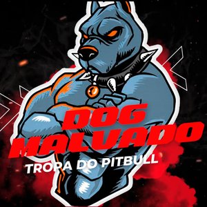 Cachorra de Raça Pura (feat. Mc Gomes)