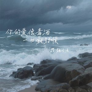 你的爱像毒酒一口就封喉