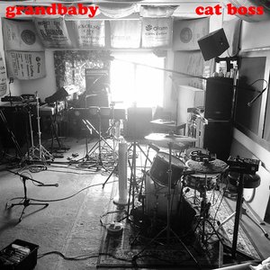 Cat Boss