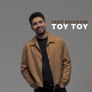 Toy toy