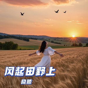 风起田野上