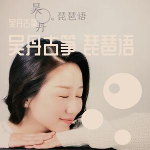 琵琶语 吴丹古筝版