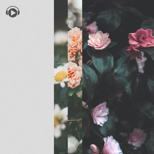 木漏れ日 (feat. sorateras)