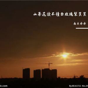 你怎能轻视她对你的爱(山茶花读不懂白玫瑰)