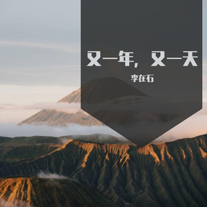 又一年，又一天