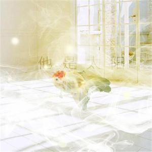 炉心融解（翻自 鏡音リン）