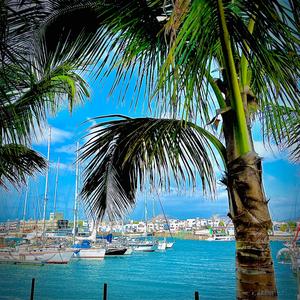 Turquoise Beaches (feat. Seebas Estee)