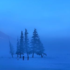 先说爱的人为什么先离开