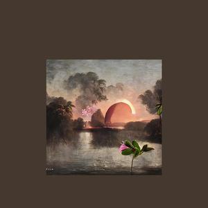 Whispers of Flamenco