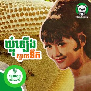 ឃ្មុំឡើងក្បាលទឹក - ភ្លេងសុទ្ធ,Karaoke