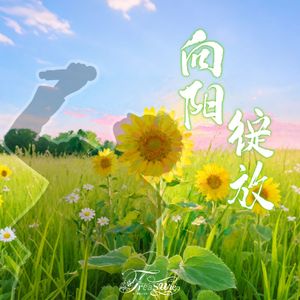 向阳绽放