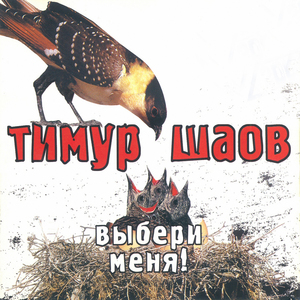 Утренняя песнь города