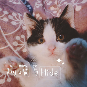 阿喵与Hide