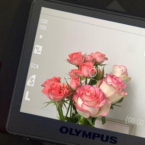 老男孩（热播版）