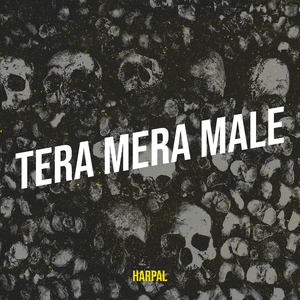 Tera Mera Male