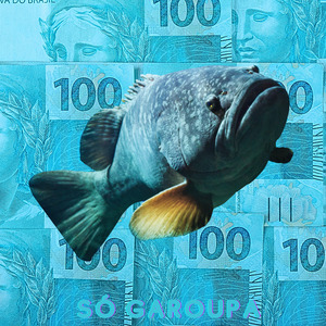Só Garoupa