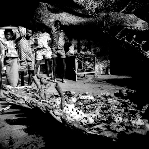 Tribal War (Protect ya Neck tool)