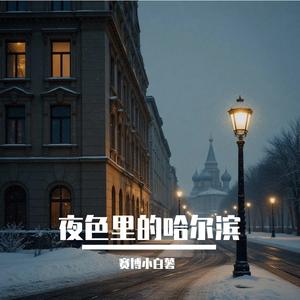 夜色里的哈尔滨