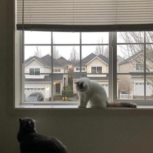 慢慢等（合唱版）