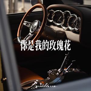 你是我的玫瑰花 (CityPop Male Ver.)