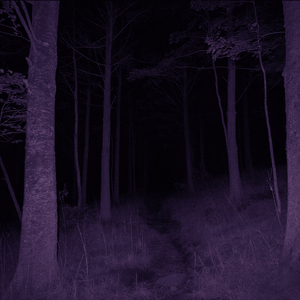 bleach (Slowed + Reverb)