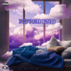 NEVER END (feat. Little Zz)