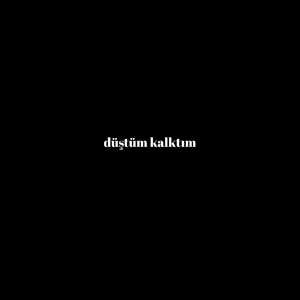 Düştüm Kalktım