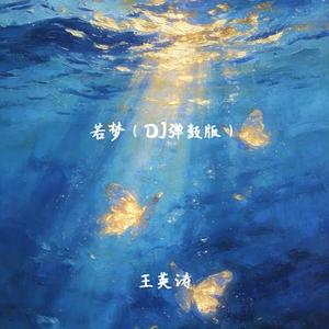 若梦  (DJ弹鼓版)