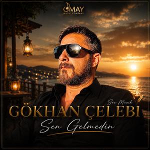 Sen Gelmedin