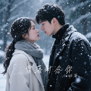 雪落时念你