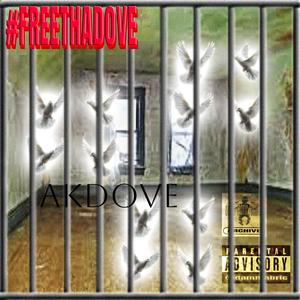 run2thebag (feat. AKdove)