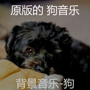 情怀(狗午睡)